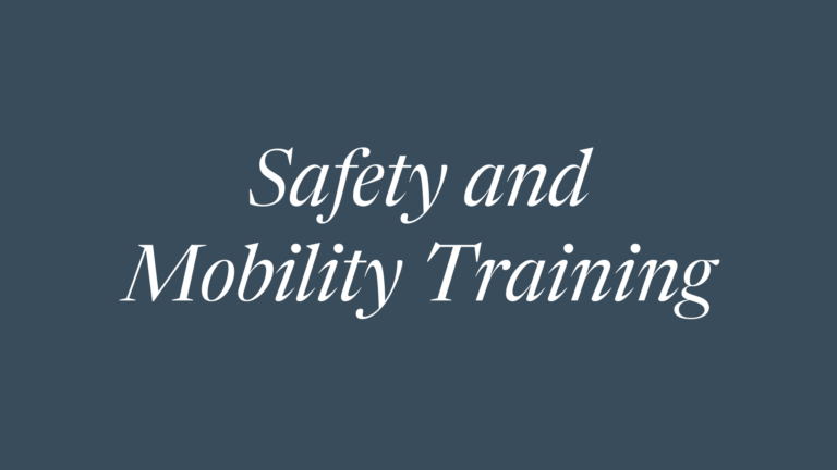 Safety and Mobility Training